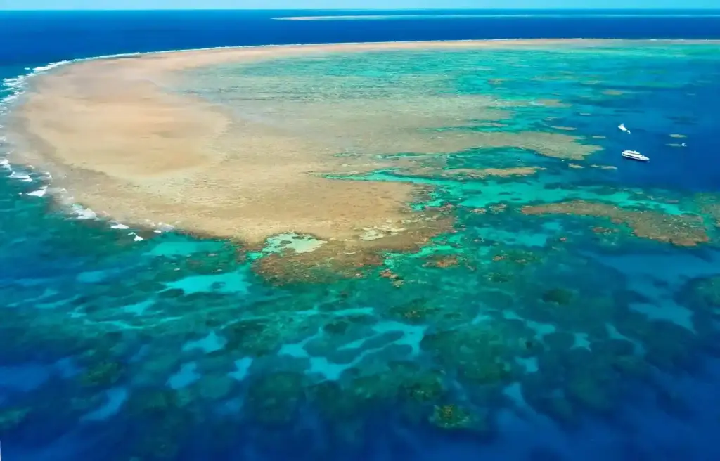 Diving at the Great Barrier Reef:
